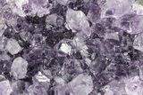 Sparking, Purple, Amethyst Crystal Cluster - Uruguay #215226-1